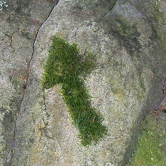 Zapoj hlavu a vyhraj cenu II. kolo